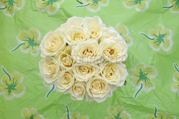 weisse Rosen  Rosenstrauss  white bunch of roses