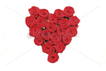 Herz aus roten Rosen  heart of red roses