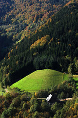 Simonswald  Herbststimmung im Schwarzwald