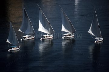 fuenf Segelboote auf dem Nil