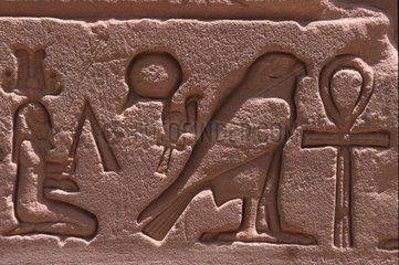 altaegyptische Hieroglyphen