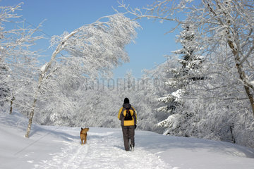 Schierke  Deutschland  Frau bei einen Spaziergang mit ihrem Hund im Winter im Harz