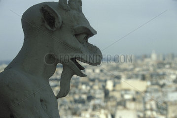 Skulptur auf Notre Dame