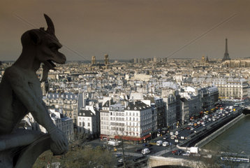 Blick von Notre Dame auf Paris