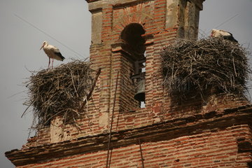 zwei Storchennester auf einem Kirchturm am Jakobsweg - Camino de Santiago