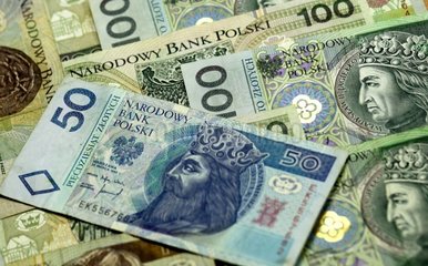 Polnische Zloty