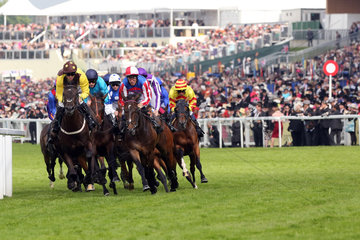 Royal Ascot  Horses and jockeys during the Gold Cup