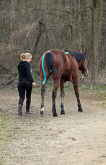 Neuenhagen  Deutschland  Pferdephysiotherapeutin ueberprueft das Gangbild eines Pferdes