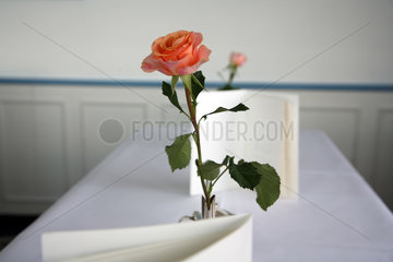 Bremerhaven  Deutschland  eine Rose auf dem Tisch eines Restaurants
