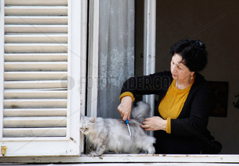 Tiflis  Georgien  eine Frau am Fenster mit ihrer Katze