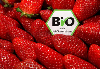 Berlin  Deutschland  Erdbeeren mit einem Bio-Siegel