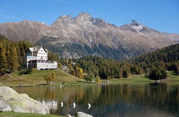 St. Moritz  Schweiz  Hotel Waldhaus am St. Moritzersee