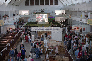 Landwirtschaftsmesse -Polagra-Farm- bei der Internationalen Posener Messe  Polen