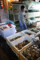 Peking  Haendler verkauft Muscheln und andere Meerestiere