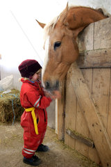 Werl  Kind fuettert ein Pferd