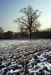 Schneebedecktes Feld im Winter  Polen