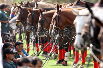 Dubai  Vereinigte Arabische Emirate  Pferdepfleger und Polopferde