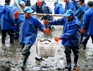 China: Fischfang
