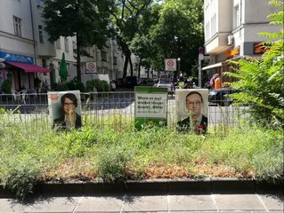 Plakate zur Abgeordnetenhauswahl in Berlin 2016