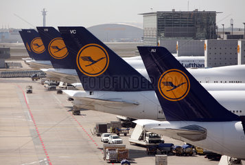 Frankfurt am Main  Deutschland  Maschinen der Lufthansa am Flughafen
