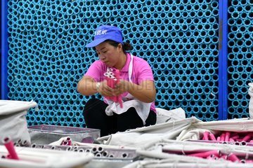CHINA-NINGXIA-TEXTILE INDUSTRIAL PARK-POVERTY RELIEF (CN)