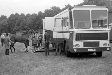 Magdeburg  DDR  Pferd wird in einen Pferdetransporter eingeladen