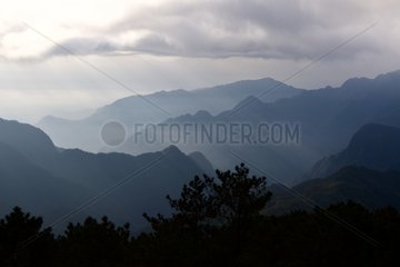 CHINA-FUJIAN-MOUNT WUYI-SCIENTIFIC EXPEDITION (CN)