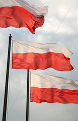 Posen  Polen  polnische Fahnen wehen am Tag der Unabhaengigkeit (Swieto Niepodleglosci)
