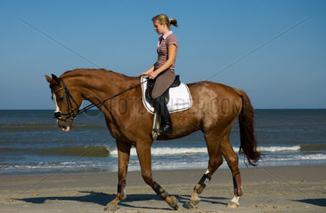Norderney  Deutschland  Reiterinnen auf Pferden am Strand von Norderney