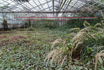 Lost Greenhouse