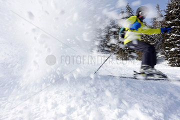 Reischach  Italien  Junge faehrt Ski im Tiefschnee