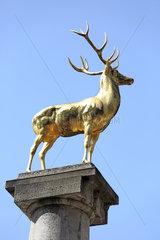Berlin  Deutschland  Goldener Hirsch im Rudolph-Wilde-Park
