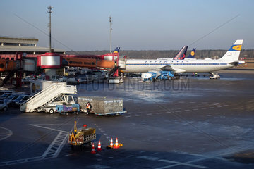 Berlin  Deutschland  Airbus A321 der Fluggesellschaft Lufthansa im Retro-Look auf dem Vorfeld des Flughafen Berlin-Tegel