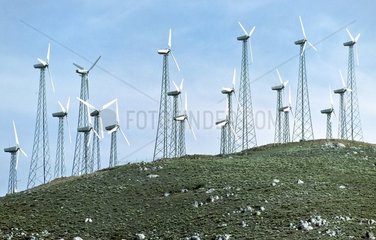 Kalifornien - Windkraft