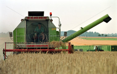 Maehdrescher bei der Weizenernte