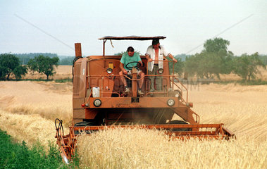 Maehdrescher in Polen bei der Getreideernte