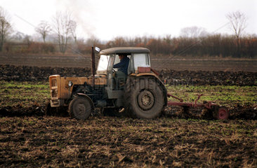 Landwirt pfluegt sein Feld mit einem Traktor  Brzeg  Polen