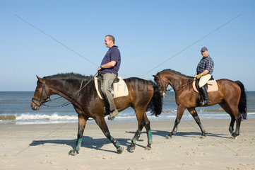 Norderney  Deutschland  Reiter auf Pferden am Strand von Norderney