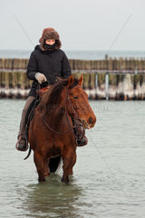 Wustrow  Deutschland  Reiterin im Winter auf ihrem Pferd in der Ostsee
