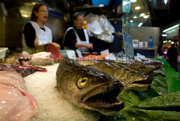 Barcelona  Spanien  Fischverkauf auf dem Mercado de Santa Caterina