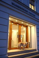 Berlin  Deutschland  ein Hund steht vor dem Eingang eines Modegeschaefts
