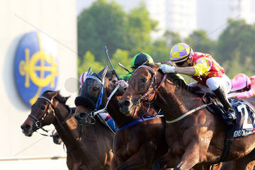 Hong Kong  China  Pferde und Jockeys im Finish bei einem Galopprennen