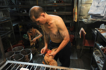 Hongkong  China  Gefluegelmetzger im Pei Ho Market