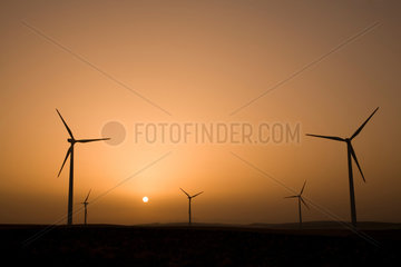 Spanien  Jacobs Windpark im Sueden des Landes bei Sonnenaufgang
