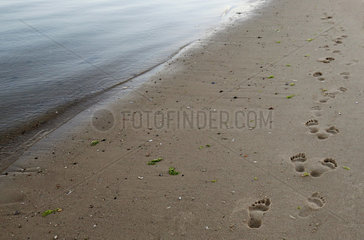 Sylt  Deutschland  Fussabdruecke im Sand am Strand