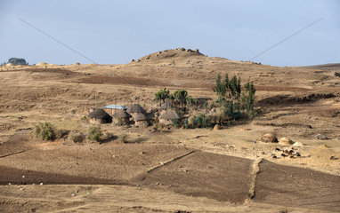 Mangudo  Aethiopien  Huetten und Felder im Hochland
