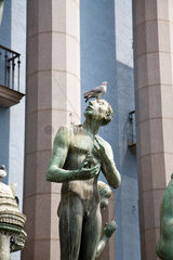 Stockholm  Schweden  Taube auf einer Statue