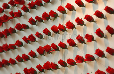 Wand mit roten Rosen