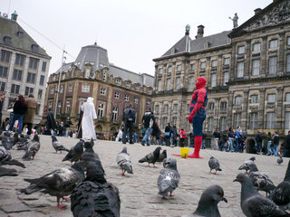 Amsterdam  Niederlande  Superman zwischen Tauben am Dam Square