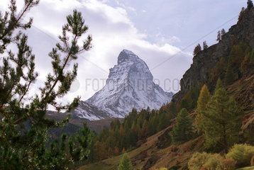Blick auf das Matterhorn  Schweiz